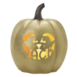 Light-Up Design Your Own Pumpkin Family