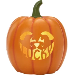 Light-Up Design Your Own Pumpkin Family