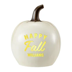 Light-Up Fall Pumpkin Collection