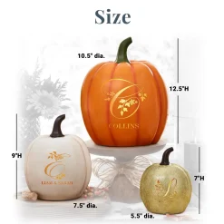 Light-Up Floral Name Pumpkin