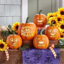 Light-Up Little Pumpkin Patch Set