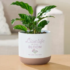 Live Life in Full Bloom Planter