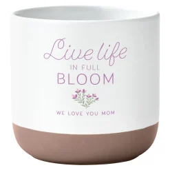 Live Life in Full Bloom Planter
