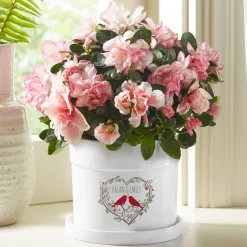 Love Nest Planter with Tray