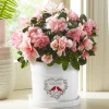 Love Nest Planter with Tray