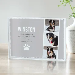 Loyal Companion Pet Photo Glass Block