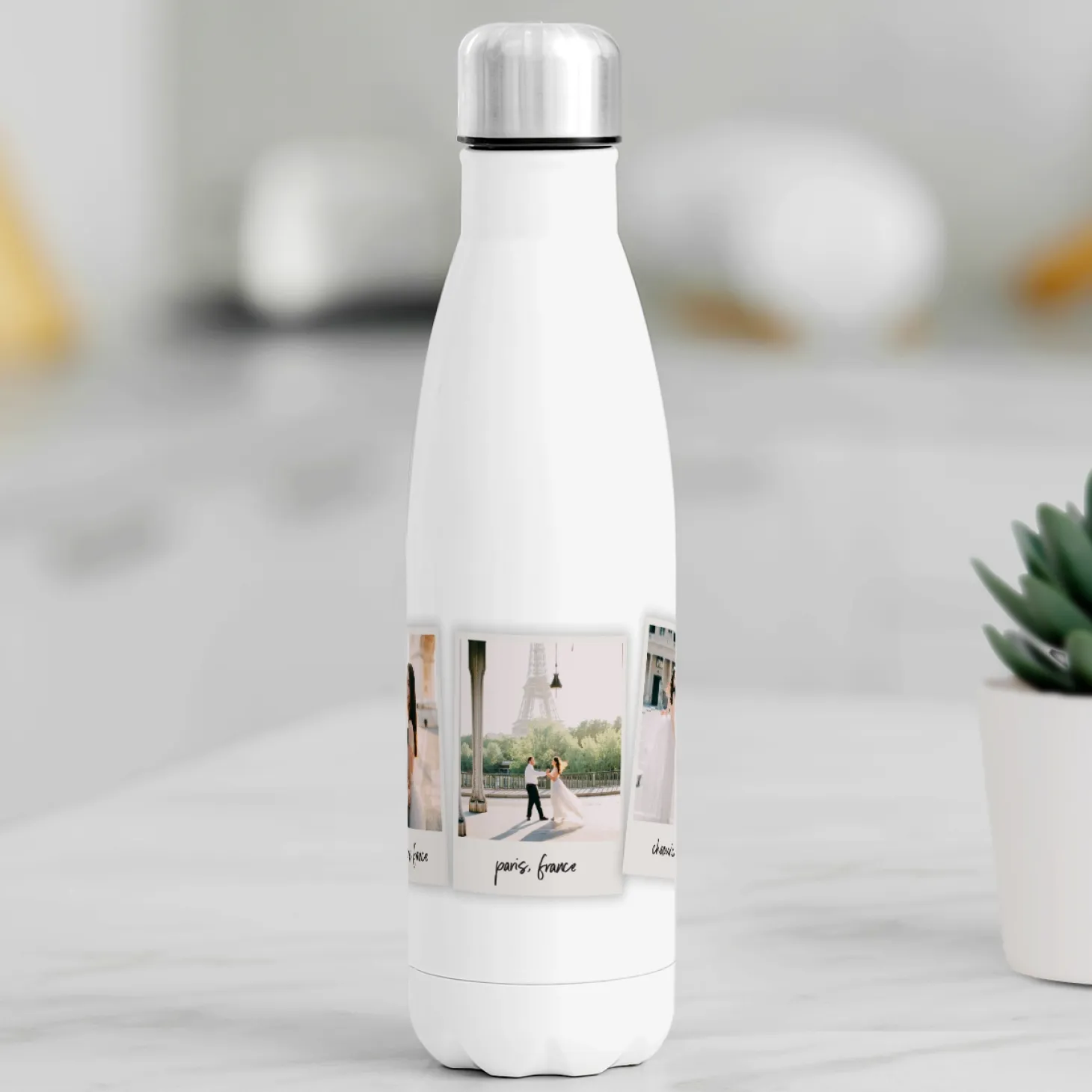 Memories Shared Photo Snapshot 17 oz. Stainless Steel Water Bottle