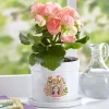 My Favorite Photo Planter with Tray