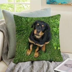 My Furry Friend Pet Photo Pillow