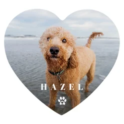 Pawprint Love Photo Wood Heart