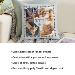 Pawprints on My Heart Pet Photo Pillow