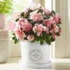 Peaceful Petals Memorial Planter with Tray