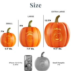 PEANUTS® Character Light-Up Pumpkin Patch