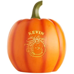 PEANUTS® Character Light-Up Pumpkin Patch