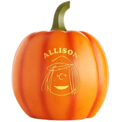 PEANUTS® Character Light-Up Pumpkin Patch