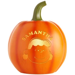 PEANUTS® Character Light-Up Pumpkin Patch