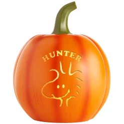 PEANUTS® Character Light-Up Pumpkin Patch