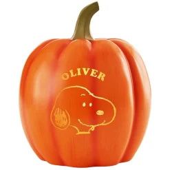 PEANUTS® Character Light-Up Pumpkin Patch