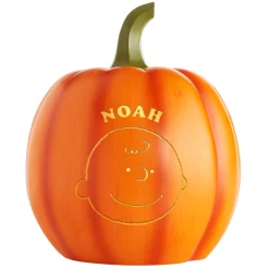PEANUTS® Character Light-Up Pumpkin Patch