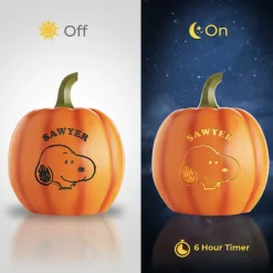 PEANUTS® Character Light-Up Pumpkin Patch