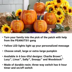 PEANUTS® Character Light-Up Pumpkin Patch