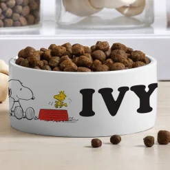 PEANUTS® It's Suppertime! Pet Bowl
