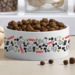 PEANUTS® Snoopy™ Happy Dance Pet Bowl