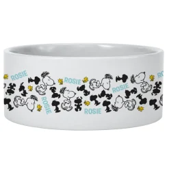 PEANUTS® Snoopy™ Happy Dance Pet Bowl