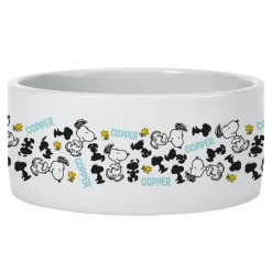 PEANUTS® Snoopy™ Happy Dance Pet Bowl