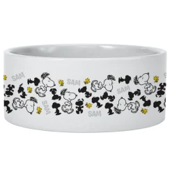 PEANUTS® Snoopy™ Happy Dance Pet Bowl