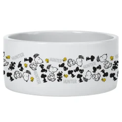 PEANUTS® Snoopy™ Happy Dance Pet Bowl