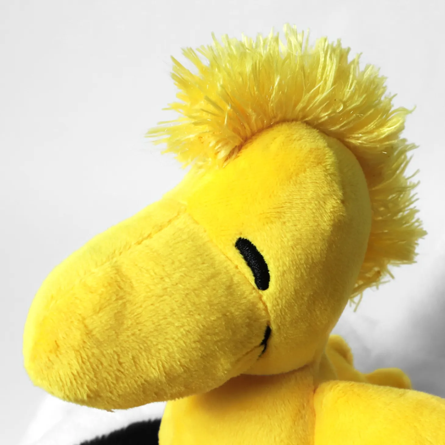 PEANUTS® Snoopy™ & Woodstock Personalized Stuffies®
