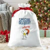 PEANUTS® Snoopy™ & Woodstock™ Special Delivery Oversized Gift Bag