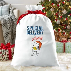 PEANUTS® Snoopy™ & Woodstock™ Special Delivery Oversized Gift Bag