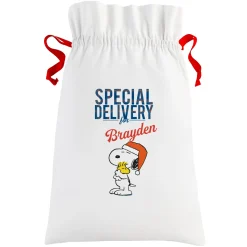 PEANUTS® Snoopy™ & Woodstock™ Special Delivery Oversized Gift Bag