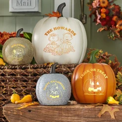 PEANUTS® Spooky & Sweet Light-Up Pumpkins