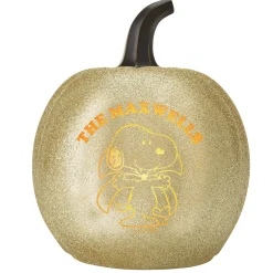 PEANUTS® Spooky & Sweet Light-Up Pumpkins