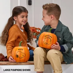 PEANUTS® Spooky & Sweet Light-Up Pumpkins