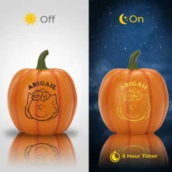 PEANUTS® Spooky & Sweet Light-Up Pumpkins