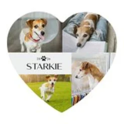 Pet Love Photo Wood Heart