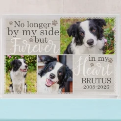 Pet Memorial Photo Glass Block