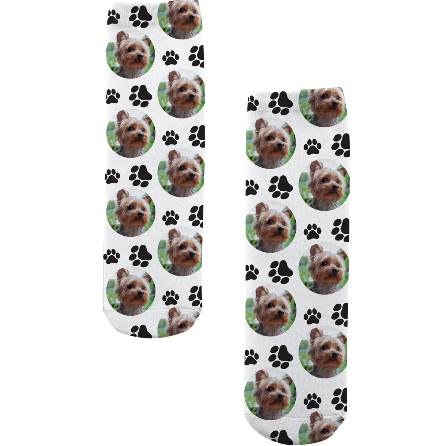 Pet Paw Print Photo Socks