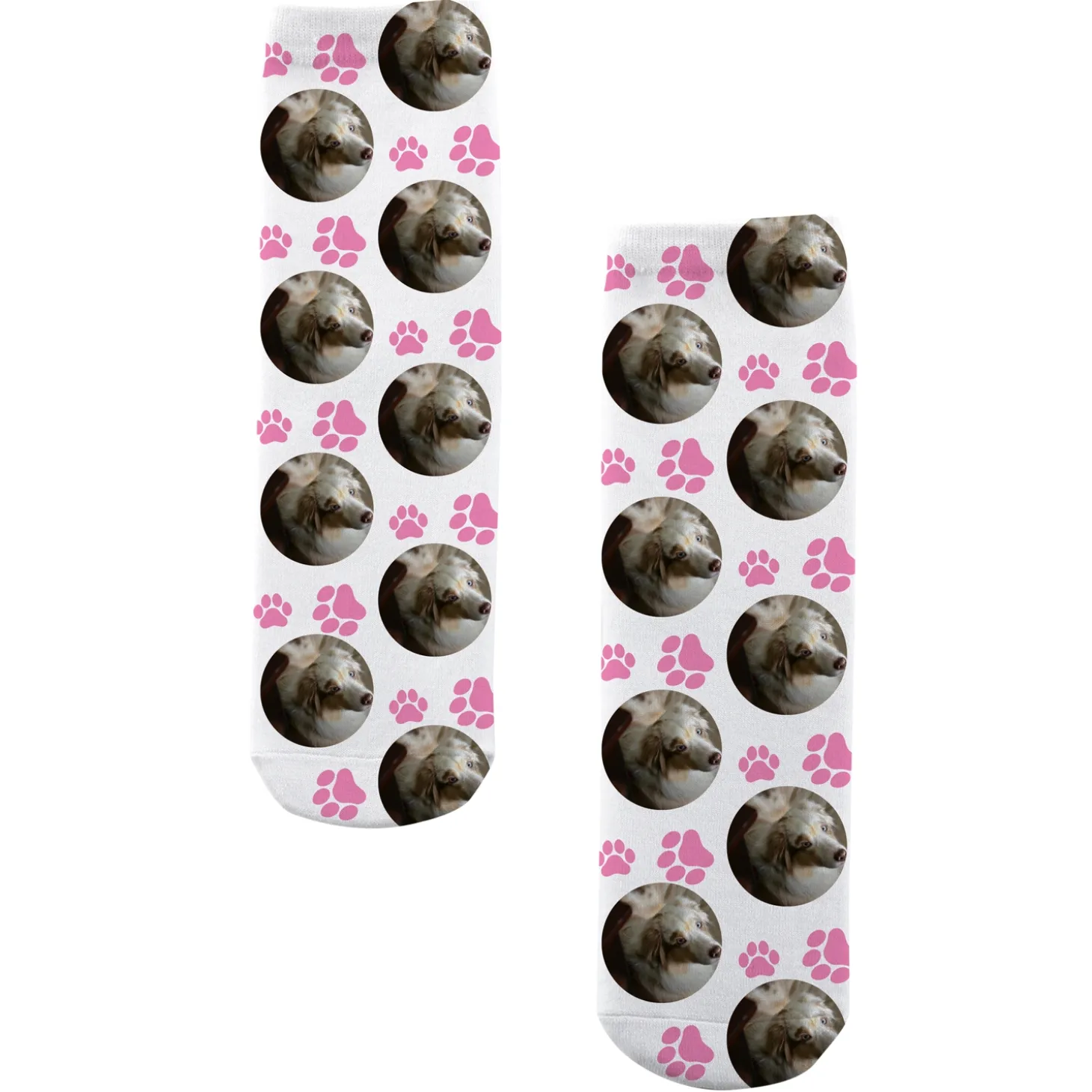 Pet Paw Print Photo Socks