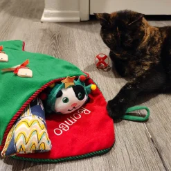 Pet Stocking