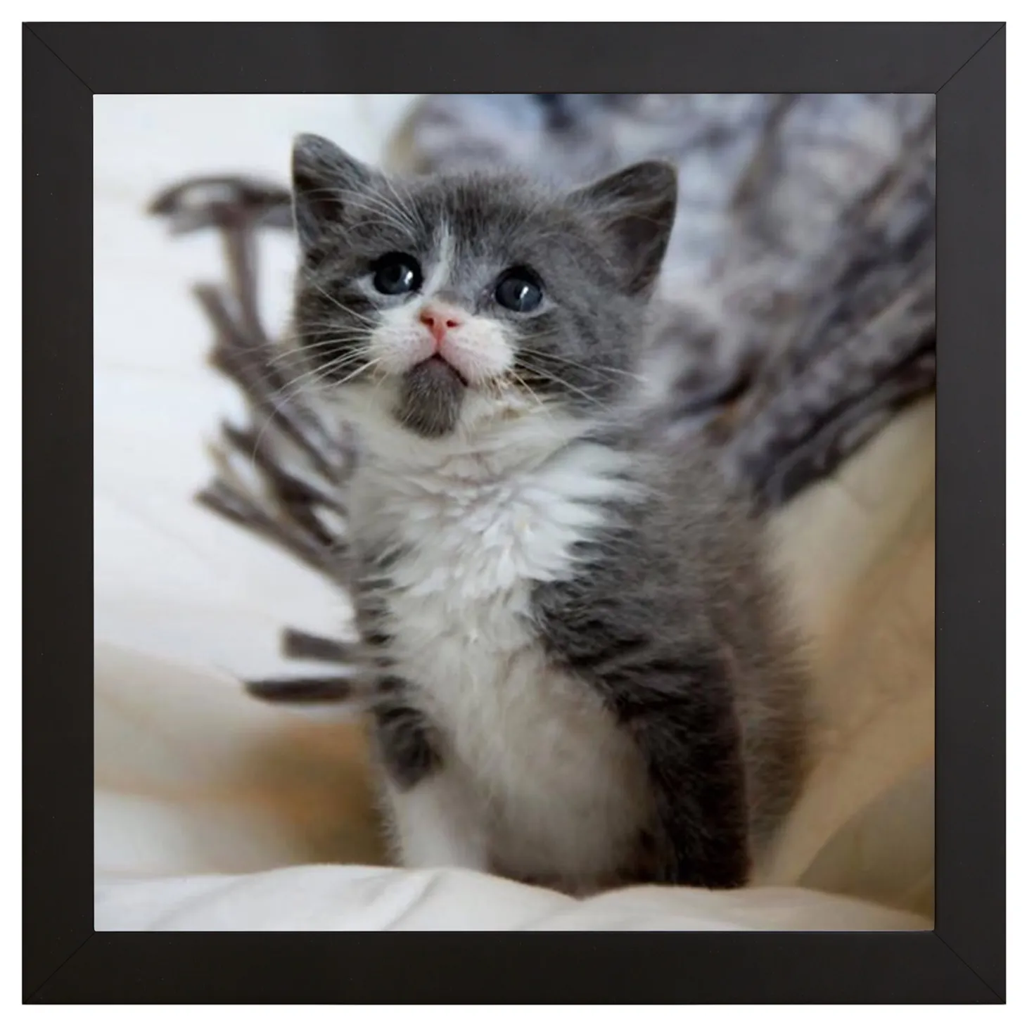 Picture-Perfect Photo Canvas - All Sizes