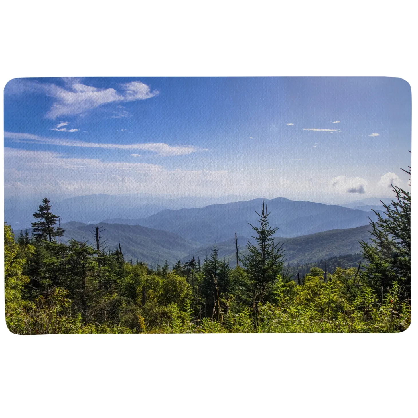 Picture-Perfect Photo Doormat