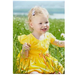 Picture-Perfect Photo Garden Flag