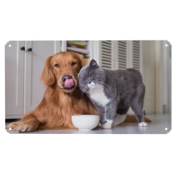 Picture-Perfect Photo Metal Sign