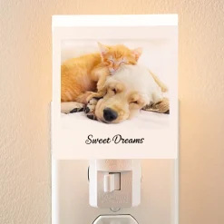 Picture-Perfect Photo Nightlight