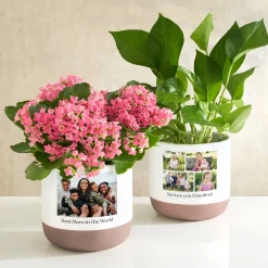 Picture-Perfect Photo Planter